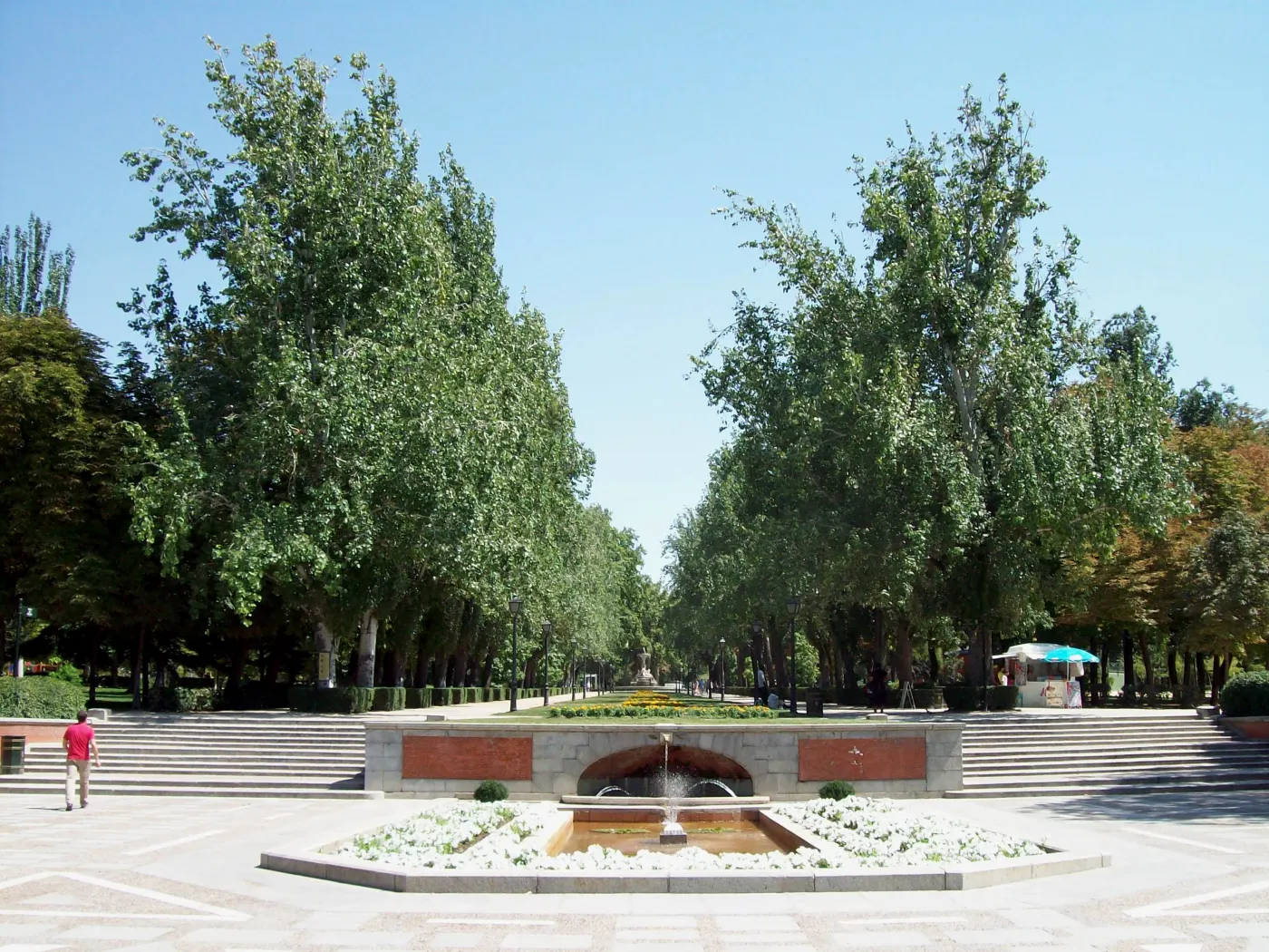 Árboles y caminos de la avenida de México, en el Retiro de Madrid.